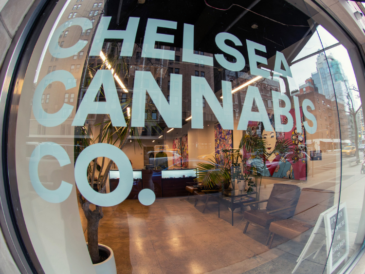 First dispensary visit in NYC article thumbnail